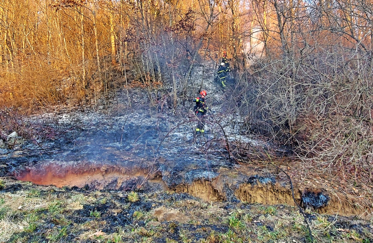 V Slovenski Istri se požvižgajo na prepoved kurjenja Primorske novice