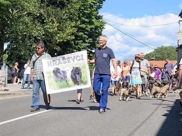 Kraški ovčarji so očarali prav vse.