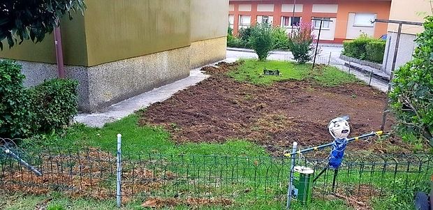 Tako pa je videti razdejanje, ki so ga divji prašiči pustili med
enim izmed nočnih pohodov po Gorici.