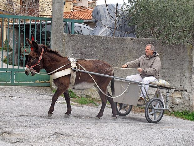..., med tem ko nekateri tam z naravo sobivajo.