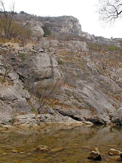 Ker neokrnjena narava pač pritegne ...