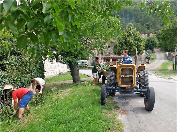 Skavti so prostovoljno očistili okolico Bržanove domačije,
vaške cerkve in zvonika v Smokvici.