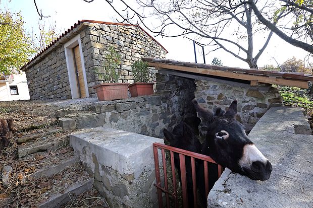 Istrsko kažeto so odprli 12. novembra. V njej naj bi zaživela
turistično-informacijska točka, kjer bi opozarjali na posebnosti podeželja ter pripravljali delavnice, seminarje in
degustacije. Ključe so zaupali Kodarinovim.
