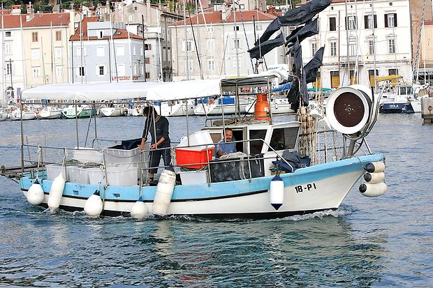 Piranska občina podpira ribiče s subvencioniranjem priveza
za njihova plovila.