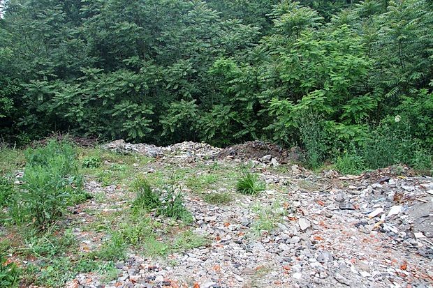 Koprski kriminalisti so junija lani pod kupom navoženega
gradbenega materiala našli razpadajoče žensko truplo.