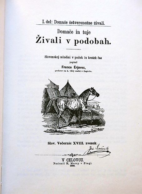 Najslavnejše Erjavčevo delo so Domače in tuje živali
v podobah iz leta 1868, edinstveno delo v naši književnosti.