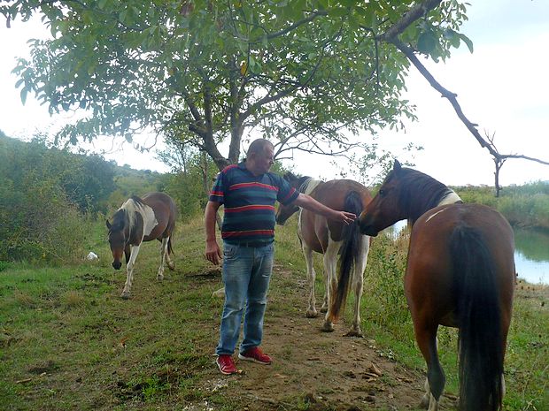 Upokojeni podjetnik Škof se ukvarja z vzrejo konjev in
oslov.