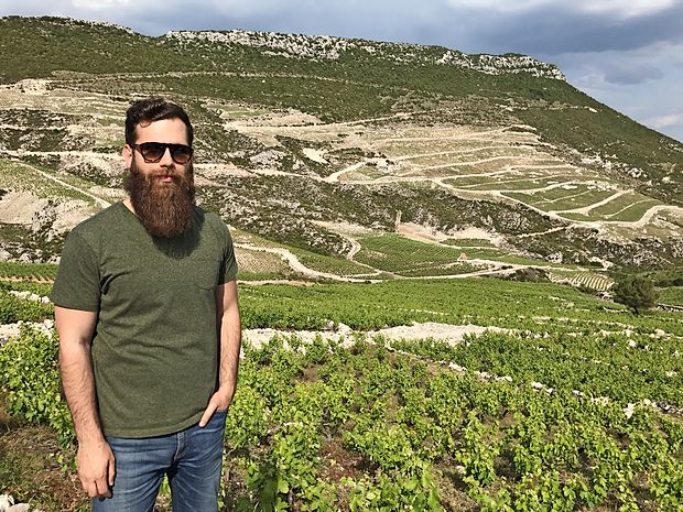 Ivan Miloš sredi družinskih vinogradov v Ponikvah na Pelješcu, ki jih vzgajajo na ekološki način in v katerih je le ena sorta vinske trte, mali plavac.