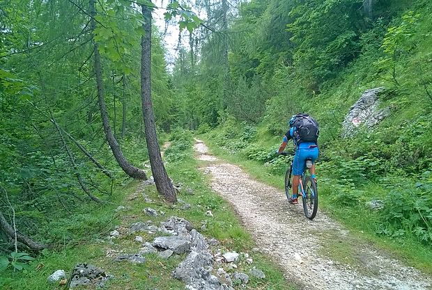 STKP vodi po stranskih cestah, poljskih poteh, gozdnih vlakah
in stezah. Ponekod je treba kolo tudi potiskati, vendar nikjer
nositi. društvo naturo