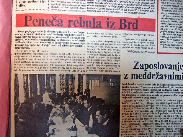 Zadružna klet na Dobrovem je pred 46 leti tržišču ponudila
nov izdelek - penečo rebulo.