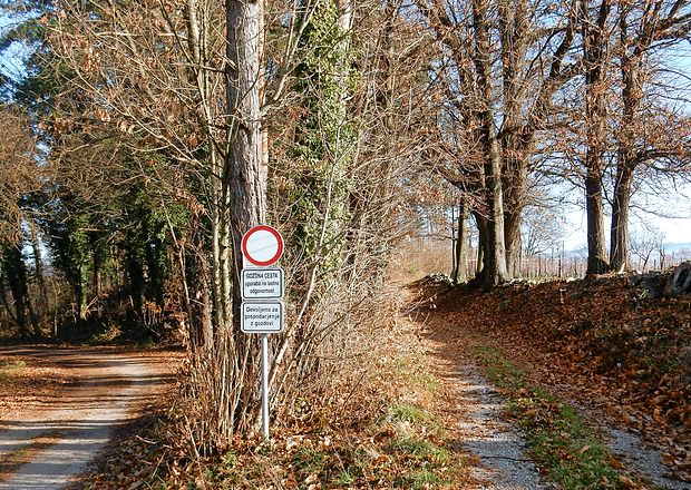 Tudi gozdove v okolici Dobravelj, Avberja in drugih kraških vasi zadnja leta vse bolj
oblegajo pobiralci kostanjev, gob in drugih gozdnih sadežev. Nekatere ustavijo
prometni znaki, večine pa ne, ker sta nadzor in kaznovanje kršiteljev pomanjkljiva.