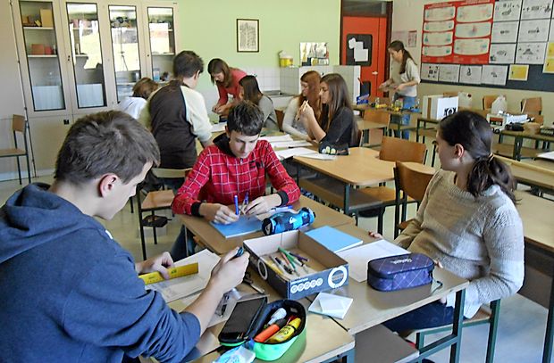 Pri vodnih turbinah pa so med drugim merili, kako na njihovo
delovanje in izkoristek vpliva različno število in velikost
lopatic.