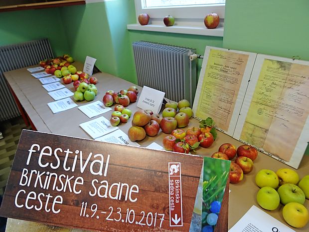 Spodbuda brkinskemu turizmu je festival Brkinske sadne ceste, ki povezuje
nekaj tradicionalnih dogodkov, na katerih sodelujejo domači pridelovalci.