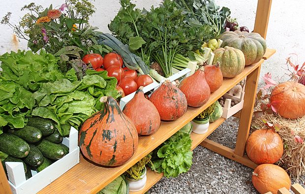 Poljščine in fermentirani mlečni izdelki naj bi bili temeljna
hrana prednikov, ki so nosilci krvne skupine B.