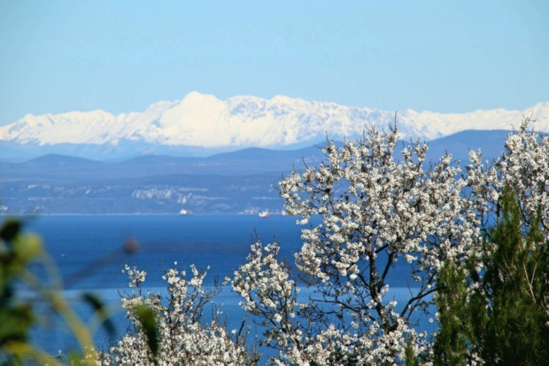 Cipra opozarja: Razvoj obnovljivih virov energije v Alpah ne sme ogroziti narave