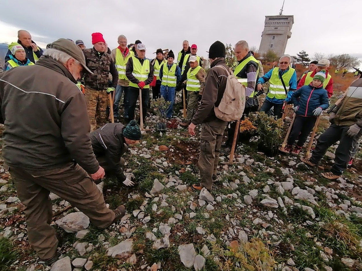 Prostovoljci Iz Vse Slovenije So Oživljali Kras - Primorske Novice