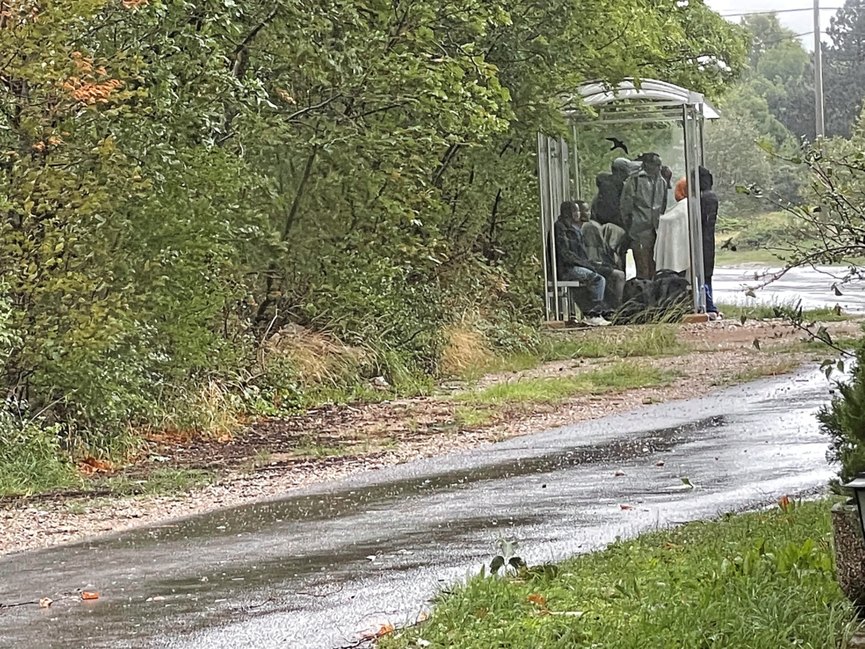 Sirce in Afganistance so zamenjale velike skupine Afričanov Primorske