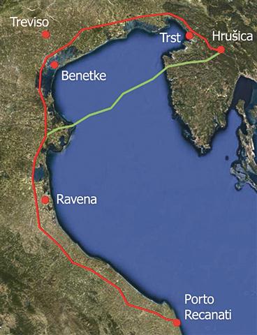 Golob pismonoša za 180 km zgrešil dom - Primorske novice