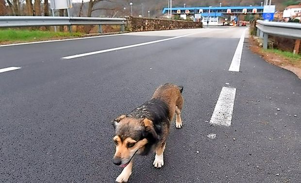Vsak dan se odpravi čez mejo in nazaj