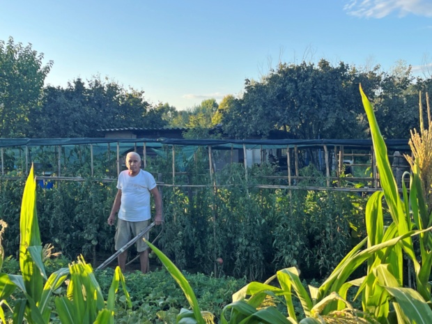 Lahko še poberejo pridelke, potem pa se morajo posloviti od vrtov