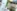 Bleščivko Tereza Prepadnik v naslika trikrat - v času bohotnih barv, med plazenjem sive megle in ko padeta sneg in mir.   Foto: Maja Pertič Gombač