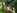  S trdnih novih platojev je razgled na Skakalce in Medvedovo glavo nad Zadlaščico osupljiv   Foto: Neva Blazetič