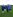 Primorsko obarvani trenerski štab mlade slovenske reprezentance, ki se je pripravljala v Čatežu: (od leve) Sandi 
Valentinčič, Primož Gliha, Alfred Jermaniš in Robert Volk.  Foto: Ervin Čurlič
