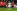 Prestop slovenskega reprezentanta Kevina Kampla iz salzburškega Red Bulla v Borussio Dortmund sodi med največje prestope zimskega prestopnega roka. Foto: Andrej Petelinšek/Večer