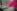  Foto: UNSPLASH