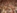 Kakijevi krhlji v sušilnici Foto: Urška Klančar