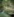 

Rtačnik v dolini Rohota, ena od postojank 4. pohoda Po poteh 
starovercev Foto: Manca Vinazza