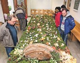 Gobarji so na Krasu te dni našli kar 130 različnih vrst gob Foto: Bogdan Macarol