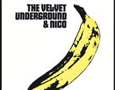 Album The Velvet Underground & Nico velja za enega najboljših in najbolj vplivnih rock albumov v zgodovini 