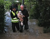 V Kopru zbirajo pomoč za živali s poplavljenih območij