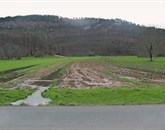 Ob zadnjem večjem deževju so vodotoki v Vremski dolini poplavili polja in njive, kar je na površje  prineslo tudi sledi fekalij iz slabo vzdrževanih  greznic Foto: Lea Kalc Furlanič