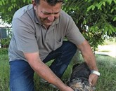 Darko Paladin s psom pod domačo jelko, kjer je našel tartuf Foto: Glas Istre/G. Čalić Šverko