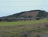 Pobočje na Zajčici (pod Vremščico), na katerem na pobudo Agrarne skupnosti Gabrče utegnejo zrasti vetrne elektrarne Foto: Marica Uršič Zupan