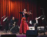 Violinistka Anja Bukovec je v novogoriškem kulturnem domu nastopila s sekstetom klarinetov Parnas Foto: Atelje Pavšič-Zavadlav