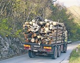 Les iz Goriške večinoma prodajajo v tujino, tu pa ostajajo le uničene ceste. Zato ga je treba bolje izkoristiti, je prepričana predsednica Zveze lesarjev Slovenije Darinka Kozinc.  