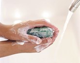 Milo, topla voda in dovolj dolg postopek drgnjenja so porok za čiste roke Foto: /