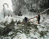 Na Gorenjskem, kjer je ponoči še snežilo, se nadaljuje lomljenje drevja. Še naprej so težave s prevoznostjo cest in izpadi v elektrodistribucijskem omrežju. Foto: STA