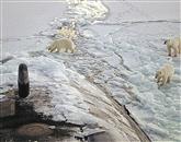 Taljenje arktičnega ledu doseglo rekordno raven