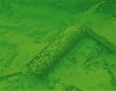 Med potapljanjem v reki Vipavi v občini Renče-Vogrsko sta potapljača fotografa v nedeljo namesto iskanih somov in krapov našla več neeksplodiranih ubojnih sredstev (fotografija je iz arhiva) 