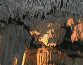 Postojnska jama bo prejela turistično priznanje Zlato jabolko Foto: Leo Caharija Leo Caharija