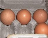 V Nemčiji preiskujejo “bio” jajca