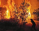 Ali so požare v Španiji podtaknili “okoljski teroristi”?