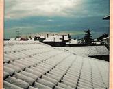 Pogled na zasnežene koprske strehe Foto: Biljana Pavlović