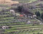 Zakupnikom kmetijskih zemljišč bo pri pisanju pritožb na opomine, ki jih prejemajo od Sklada kmetijskih zemljišč in gozdov RS, na voljo  pravna pomoč, ki jo organizira Občina Izola v sodelovanju s Primorskim pravnim centrom, so danes sporočili z izolske Foto: Tomaž Primožič/Fpa