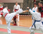 Na sojenju, ki bo potekalo za zaprtimi vrati, bodo poskušali ugotoviti, kaj se je dogajalo med treningi karateja (fotografija je simbolična) Foto: Tomaž Primožič/Fpa