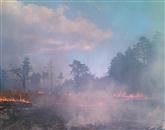 Požari v naravi se v zadnjih dneh vrstijo Foto: Zgrs Sežana